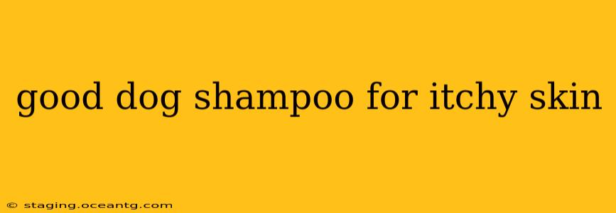 good dog shampoo for itchy skin
