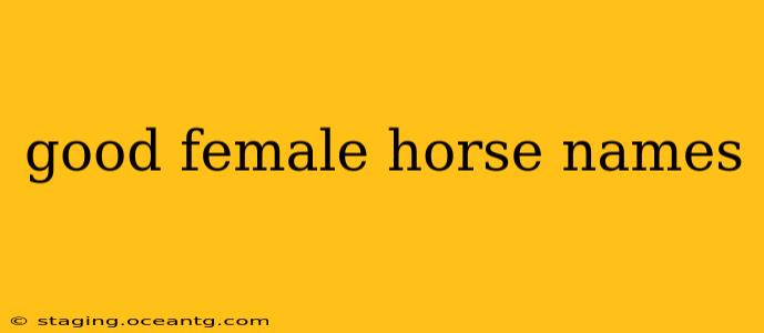 good female horse names