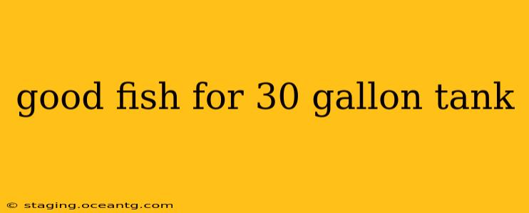 good fish for 30 gallon tank