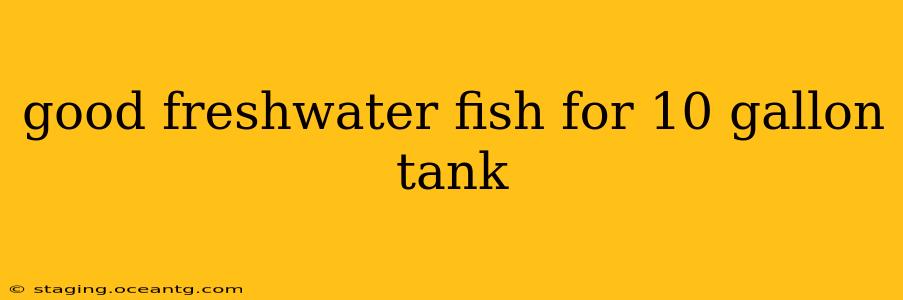 good freshwater fish for 10 gallon tank