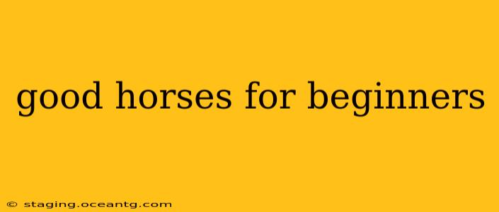 good horses for beginners