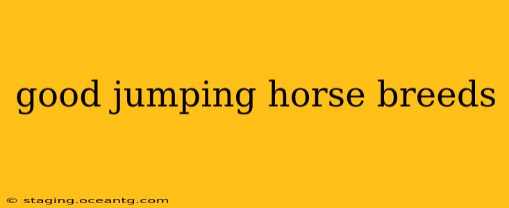 good jumping horse breeds