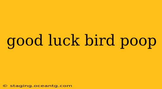 good luck bird poop