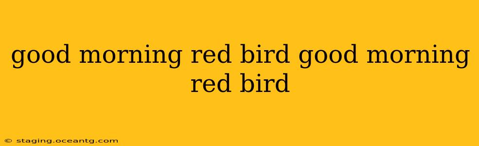 good morning red bird good morning red bird