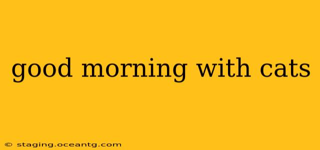 good morning with cats