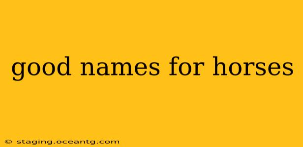 good names for horses