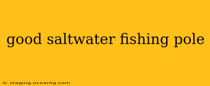 good saltwater fishing pole