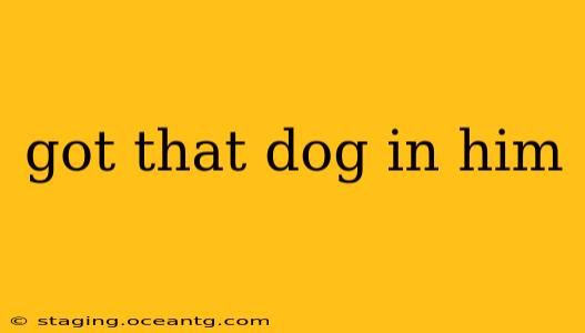got that dog in him