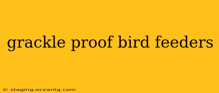 grackle proof bird feeders