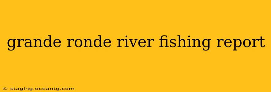 grande ronde river fishing report
