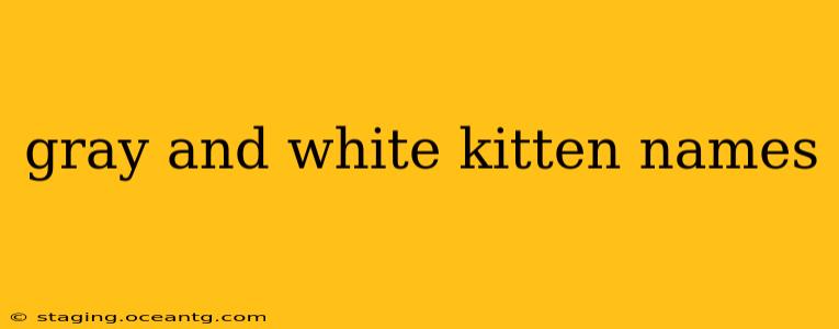 gray and white kitten names