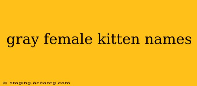 gray female kitten names