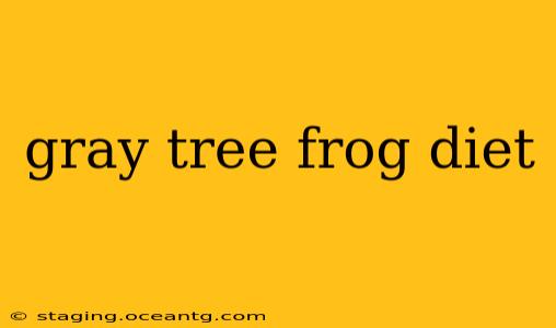 gray tree frog diet