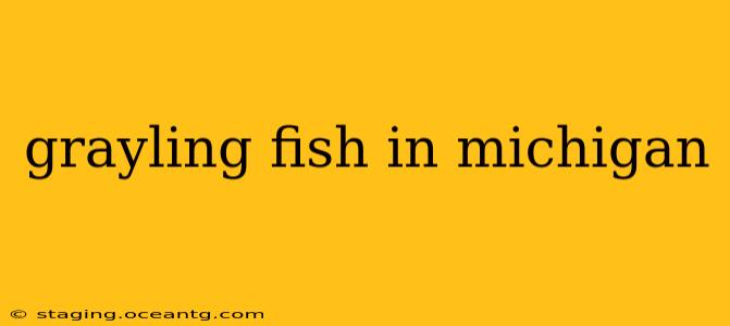 grayling fish in michigan
