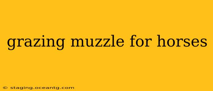 grazing muzzle for horses