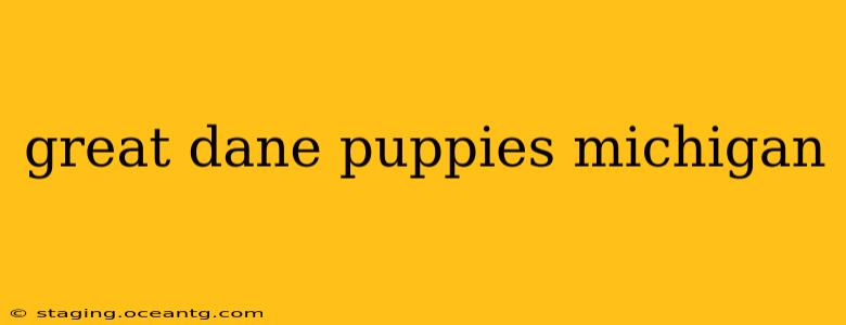 great dane puppies michigan