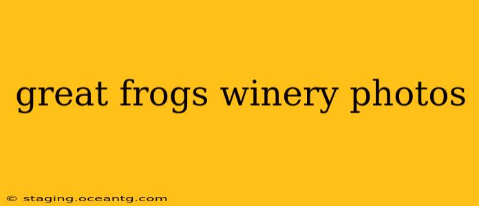 great frogs winery photos