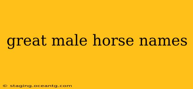 great male horse names