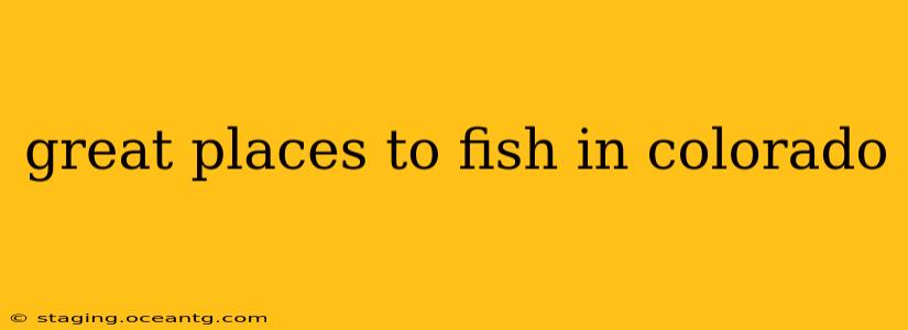 great places to fish in colorado
