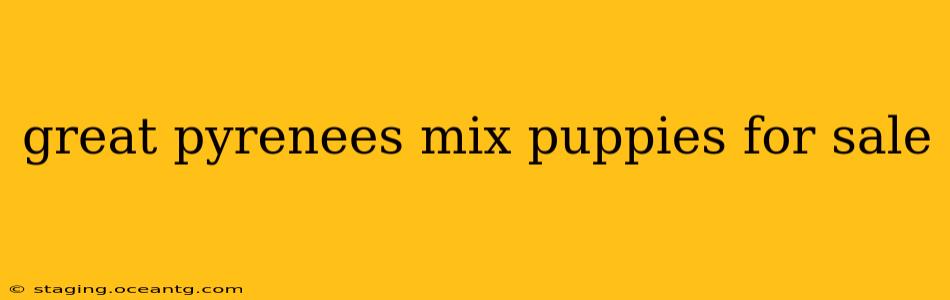 great pyrenees mix puppies for sale