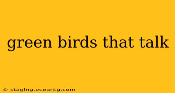 green birds that talk