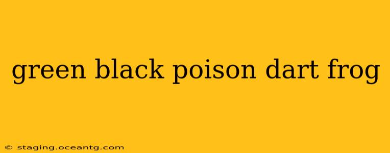green black poison dart frog