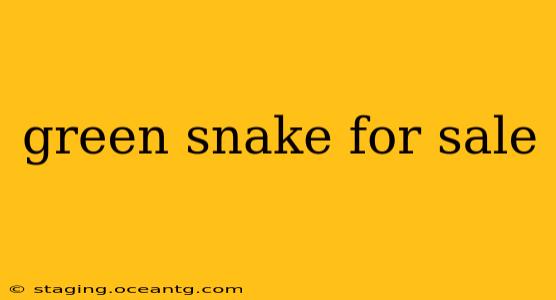 green snake for sale