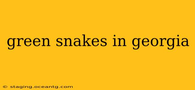 green snakes in georgia