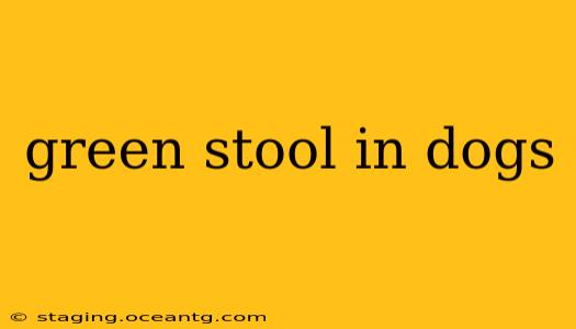 green stool in dogs
