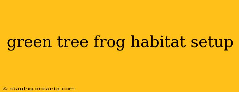 green tree frog habitat setup