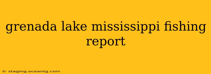 grenada lake mississippi fishing report