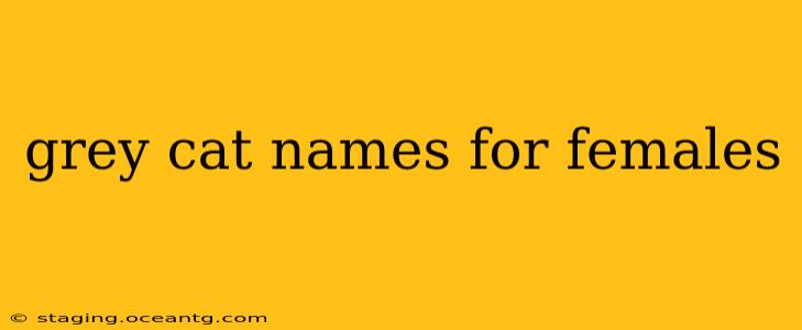 grey cat names for females