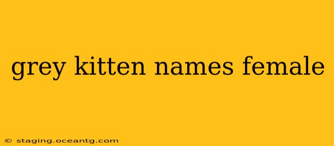 grey kitten names female