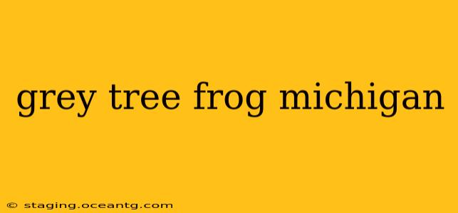 grey tree frog michigan