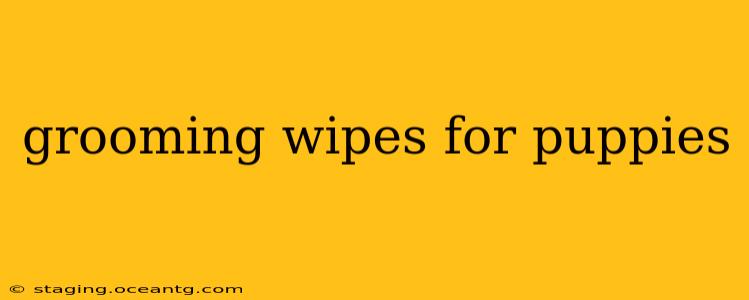 grooming wipes for puppies