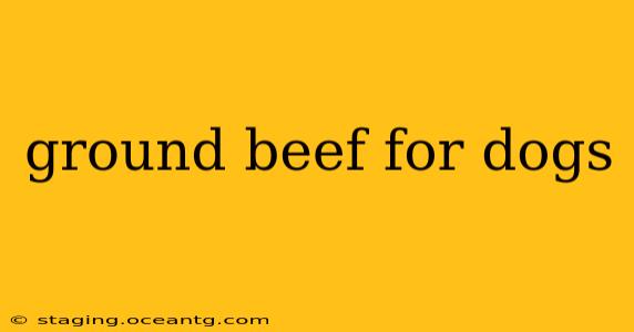 ground beef for dogs