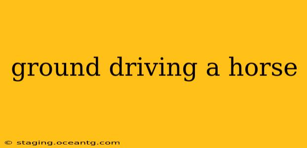 ground driving a horse