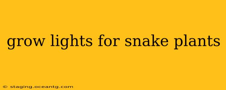 grow lights for snake plants