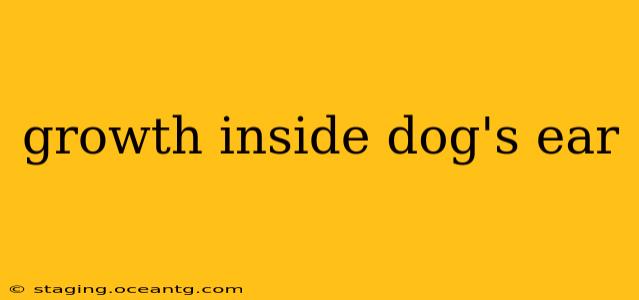 growth inside dog's ear
