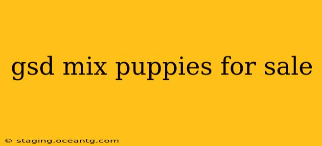 gsd mix puppies for sale