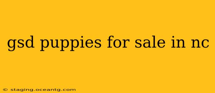 gsd puppies for sale in nc