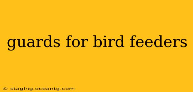 guards for bird feeders