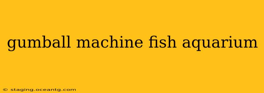 gumball machine fish aquarium