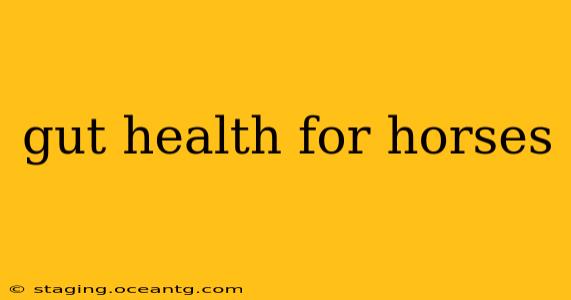 gut health for horses