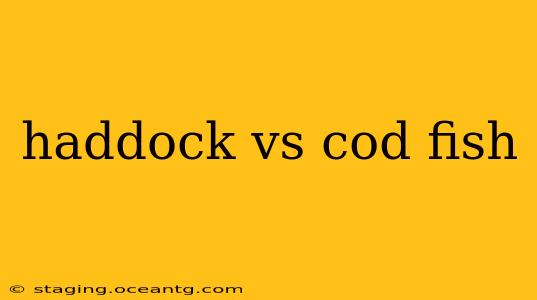 haddock vs cod fish