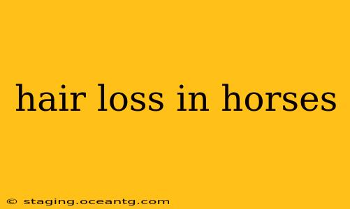 hair loss in horses