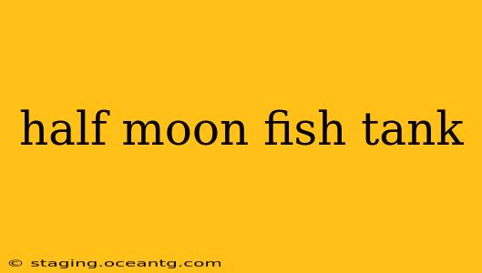 half moon fish tank