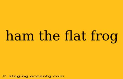 ham the flat frog
