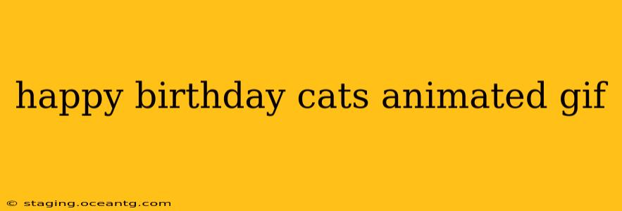 happy birthday cats animated gif