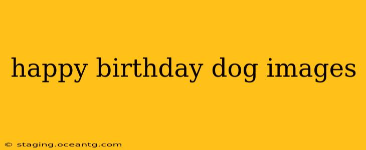 happy birthday dog images